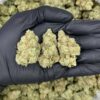 candy rain strain(Ounce) - Image 2