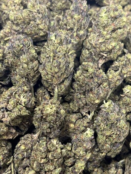 crunch berries strain - Image 2