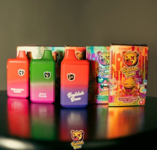 buddah bear disposable